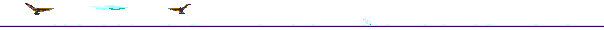 bird16.gif (5397 bytes)